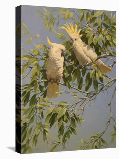 Cockatoos-Michael Jackson-Premier Image Canvas