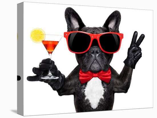 Cocktail Party Dog-Javier Brosch-Premier Image Canvas