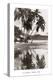 Coco Palms, Acapulco, 1932-null-Stretched Canvas