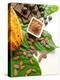 Cocoa Pod With Cocoa Beans, Powder, And Chocolates-vd808bs-Premier Image Canvas