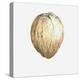 Coconut, 2015-Lincoln Seligman-Premier Image Canvas