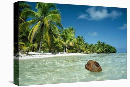 Coconut Floating Ashore on to Tropical Island-null-Premier Image Canvas