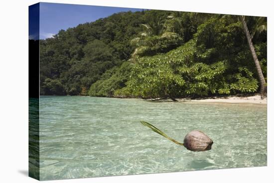Coconut Floating in Lagoon, Micronesia, Palau-Reinhard Dirscherl-Premier Image Canvas