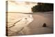 Coconut on a Tropical Beach at Sunset, Rarotonga Island, Cook Islands, South Pacific, Pacific-Matthew Williams-Ellis-Premier Image Canvas