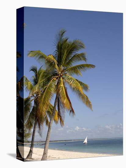 Coconut Palm and Dhow, Pangane Beach, Mozambique, Africa-null-Premier Image Canvas