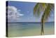 Coconut palm fronds hang down over the shore along the beach at San Juan, Siquijor, Philippines, So-Nigel Hicks-Premier Image Canvas