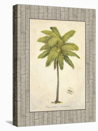 Coconut Palm Illustration-Arnie Fisk-Stretched Canvas