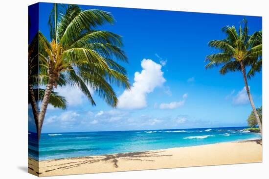 Coconut Palm Tree on the Sandy Beach in Hawaii, Kauai-EllenSmile-Premier Image Canvas