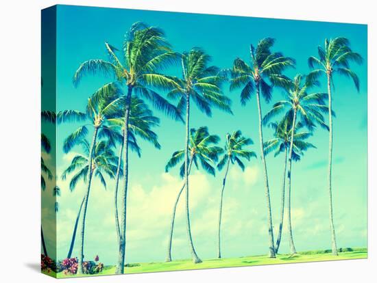 Coconut Palm Trees in Hawaii (Vintage Style)-EllenSmile-Premier Image Canvas