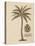 Coconut Palm-Porter Design-Premier Image Canvas