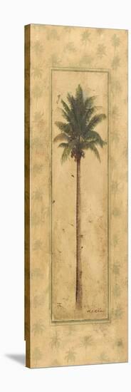 Coconut Palm-unknown Chiu-Stretched Canvas