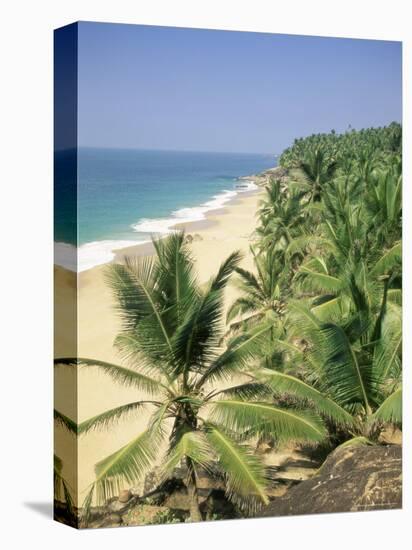 Coconut Palms and Beach, Kovalam, Kerala State, India, Asia-Gavin Hellier-Premier Image Canvas