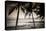 Coconut Palms and Surf at Dusk, Kailua-Kona, Hawaii, Usa-Russ Bishop-Premier Image Canvas