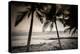 Coconut Palms and Surf at Dusk, Kailua-Kona, Hawaii, Usa-Russ Bishop-Premier Image Canvas