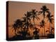 Coconut Palms, Boca Chica, South Coast, Dominican Republic, West Indies, Central America-Thouvenin Guy-Premier Image Canvas