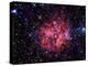 Cocoon Nebula-Stocktrek Images-Premier Image Canvas