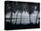 Cocos Islands-John Dominis-Premier Image Canvas