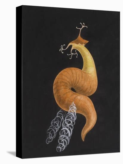 Cod Worm-Philip Henry Gosse-Premier Image Canvas