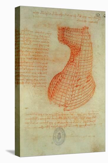 Codex Madrid 1/57-R Study for a Sculpture of a Horse-Leonardo da Vinci-Premier Image Canvas