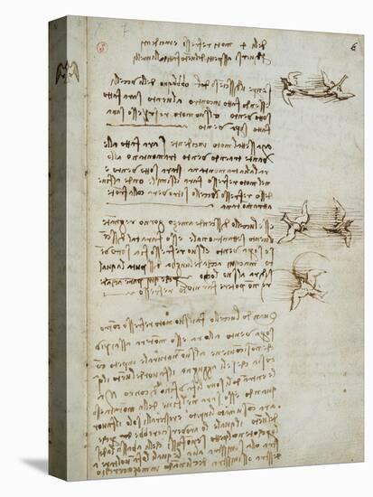 Codex on the Flight of Birds-Leonardo da Vinci-Premier Image Canvas