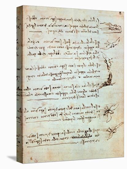 Codex on the Flight of Birds-Leonardo da Vinci-Premier Image Canvas