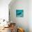 Coelacanth Fish-Peter Scoones-Premier Image Canvas displayed on a wall