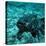 Coelacanth Fish-Peter Scoones-Premier Image Canvas