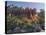 Coffe Pot Rock, Buena Vista Drive, Sedona, Arizona, Usa-Rainer Mirau-Premier Image Canvas