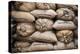 Coffee Bags. Monteverde. Costa Rica. Central America-Tom Norring-Premier Image Canvas