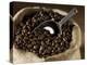 Coffee Beans in a Jute Sack-Jean-Michel Georges-Premier Image Canvas