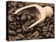 Coffee Beans in a Scoop-Steven Morris-Premier Image Canvas