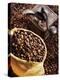 Coffee Beans in Sack and in Old Coffee Mill-Dieter Heinemann-Premier Image Canvas