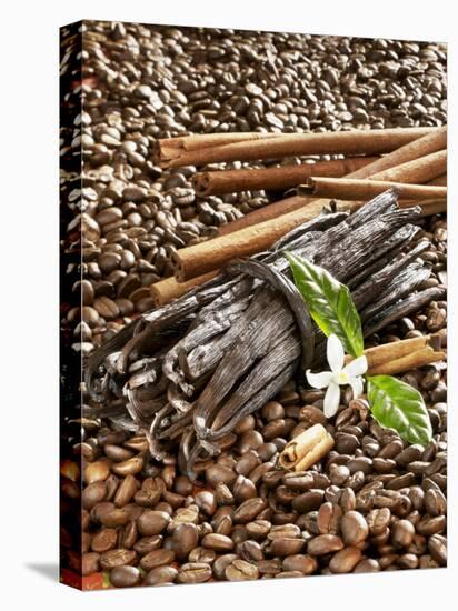 Coffee Beans, Vanilla Pods and Cinnamon Sticks-Karl Newedel-Premier Image Canvas