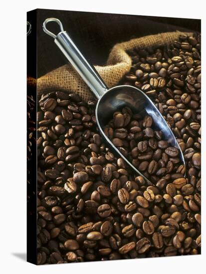 Coffee Beans with Metal Scoop in Sack-Vladimir Shulevsky-Premier Image Canvas