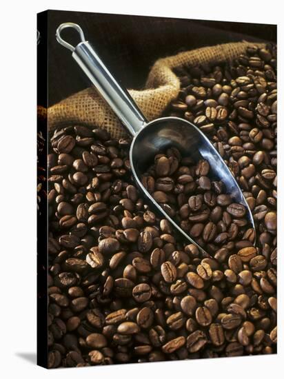 Coffee Beans with Metal Scoop in Sack-Vladimir Shulevsky-Premier Image Canvas