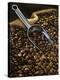 Coffee Beans with Metal Scoop in Sack-Vladimir Shulevsky-Premier Image Canvas