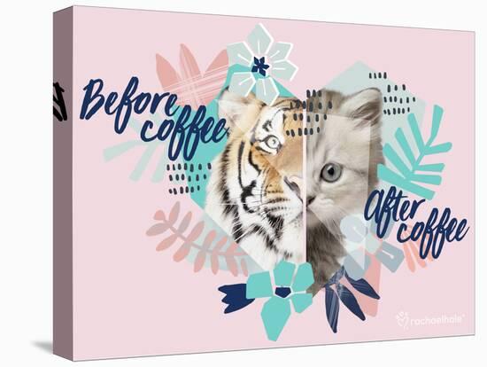 Coffee Cat-Rachael Hale-Stretched Canvas