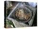 Coffee Ceremony, Lalibela, Wollo Region, Ethiopia, Africa-Bruno Barbier-Premier Image Canvas