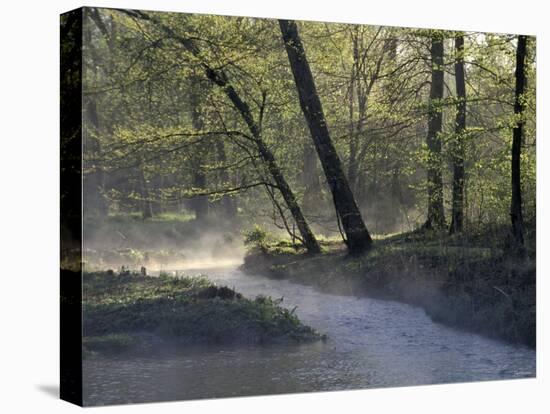 Colbert Creek in Morning Mist, Natchez Trace, Northwestern Alabama-null-Premier Image Canvas