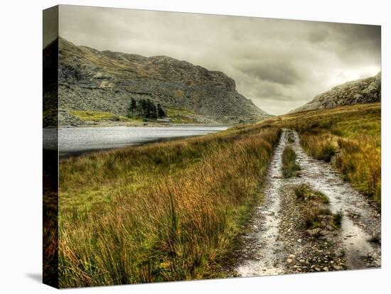 Cold Comfort-Mark Gemmell-Premier Image Canvas