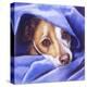 Cold? Me?-Barbara Keith-Premier Image Canvas