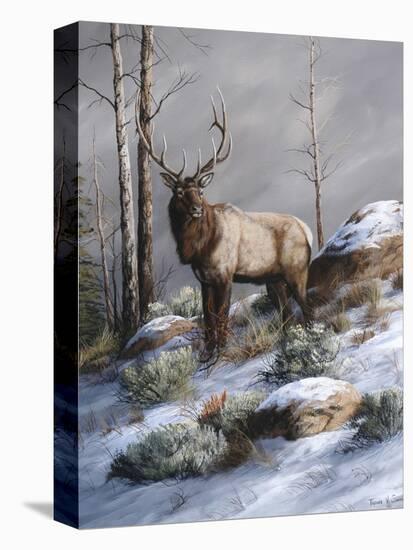 Cold Ridge Watcher-Trevor V. Swanson-Premier Image Canvas