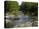 Cold River in Evans Notch of the White Mountains, Maine and New Hampshire Border Area-null-Premier Image Canvas