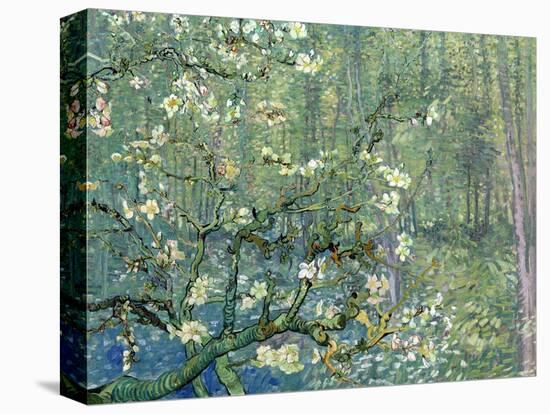 Collage Design with Painting Elements - Almond Branches in Bloom & Trees and Undergrowth-Elements of Vincent Van Gogh-Stretched Canvas