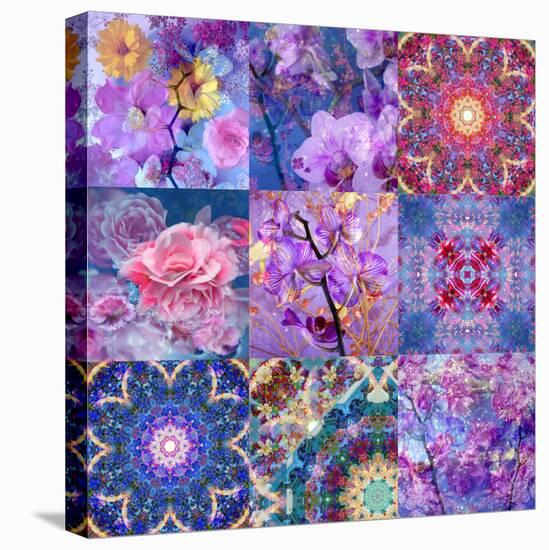 Collage from Flower Montages-Alaya Gadeh-Premier Image Canvas