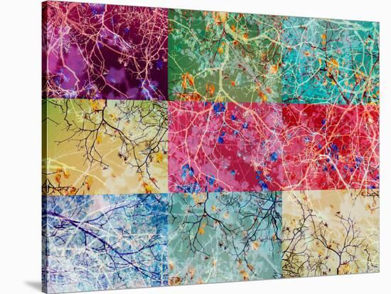 Collage from Layered Photographs from Trees in Multicolor-Alaya Gadeh-Premier Image Canvas