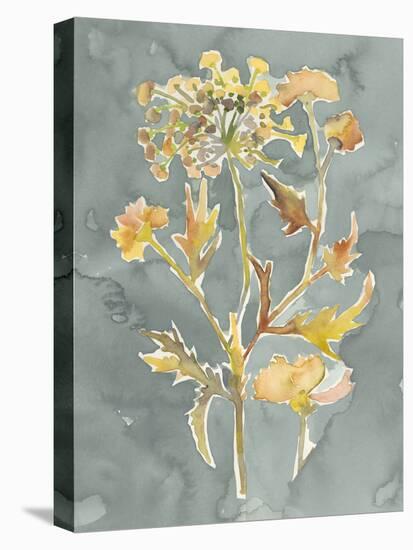 Collected Florals I-Chariklia Zarris-Stretched Canvas