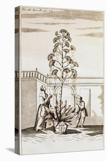 Collecting Aloe Juice from Spectacle De La Nature (Spectacle of Nature) by Noel-Antoine Pluche (168-null-Premier Image Canvas