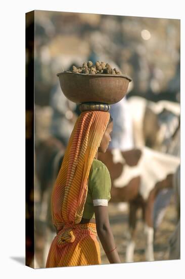 Collecting Camel Dung for Cooking Fires, Pushkar Camel Festival, Rajasthan, India-David Noyes-Premier Image Canvas