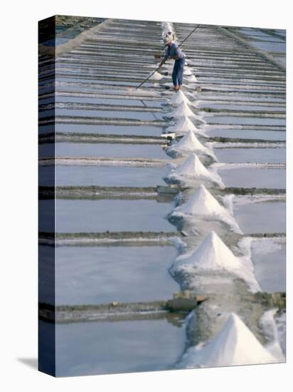 Collecting Salt in the Salt Pans, Fier d'Ars, Ile De Re, Charente Maritime, France-Bruno Barbier-Premier Image Canvas